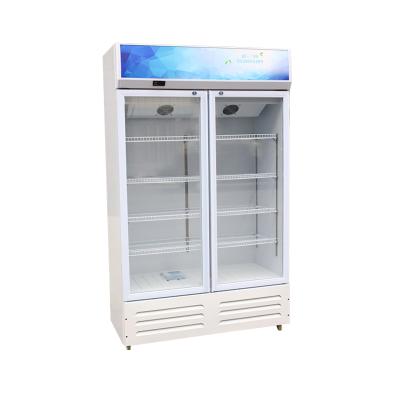 China Single-Temperature PROMETHEUS 2 Door Cooler Soft Drinks Display Vertical Refrigerator Showcase Refrigerator for sale