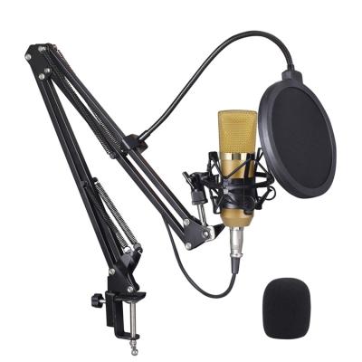 China Professional BM700 Gooseneck Microphone Recording Dynamic Condenser Recording Microphone With Shock Mount Scissor Stand Filter for sale