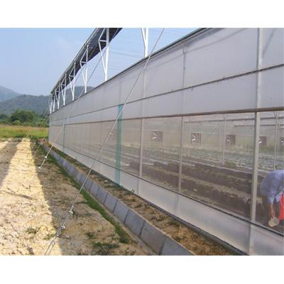 China Stable Structure Hot Sale Complete Hydroponics Plastic Sheet Greenhouse for sale