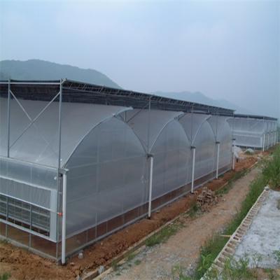 China Easily Assembled Reinforced Plastic Film Wide Multi Span Greenhouse for sale