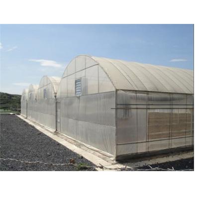 China Cheapest Easily Assembled Three-Layer Eva Film Agriculture Greenhouse for sale