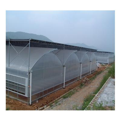 China Perfect Large Plastic Flower Film Greenhouse Uniform Light Weight Hot Dip Galvanized Steel Plastic For Four Seasons Planting Multispan Greenhouse for sale