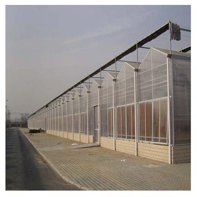 China Dome.Venlo Large Scale Multi-span PC Sheet / Board Greenhouse For Flower Plant for sale