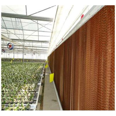 China Poultry Farming Good Quality Greenhouse Honeycomb Protection Cooling System for sale