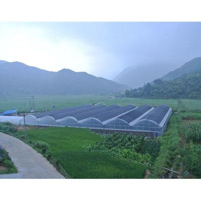 China Corrosion Resistance Plastic PVC Sun Shade Mesh For Greenhouse for sale