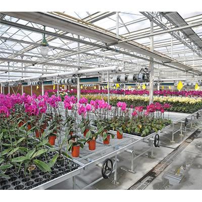 China Single Operation Greenhouse Nursery Seeding Bed for sale