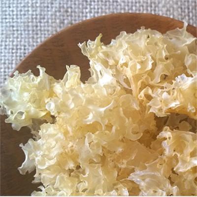 China Cheap Price Dry Dried Organic Tremella Fuciformis for sale