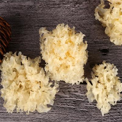 China High Quality Dry Organic Tremella Dry/Edible Dry Tremella for sale