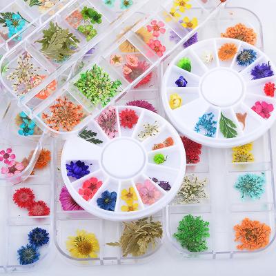 China Nail Art Hot Sale Real Natural Dried Flowers Dry Grass For Nails Art Decoration for sale