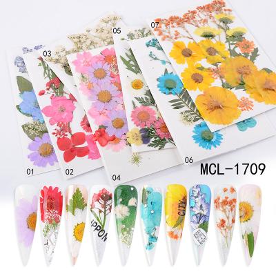 China Nail Art Wholesale DIY Natural Dried Flowers Real Decals For Nails Art Decoration for sale