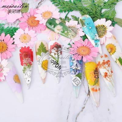 China Vacuum Packing Nail Art Decoration Dry Flowers For Professional Nail Salon 2022 Good Nails Awards for sale