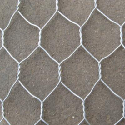 China Length 10-200m Hexagonal Wire Mesh PVC Coated Chicken Fence  compressed knitted wire mesh for sale