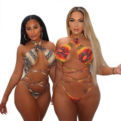 China 2021 Plus Size S-3xl Breathable Women One Piece Swimsuit Ladies Swimwear Beachwear Snake Bikini Beachwear for sale