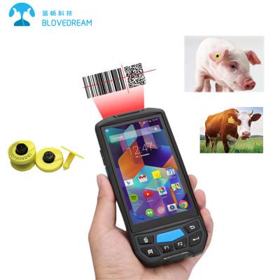 China Handheld Computer BloveDream 1D 2D QR Barcode Scanner Android RFID SI 134.2 KHz Handheld Reader for Pet Sheep Pig Goat Pig Cows Pigs Ear Tags livestock for sale