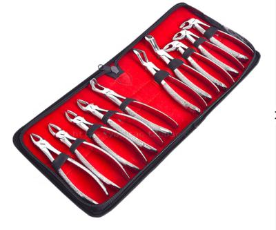 China 10 Pcs Stainless Steel Set Dental Surgical Instrument Stainless Steel Adults Tooth Extracting Forceps for sale