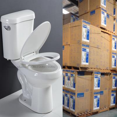 China SR-173AE Double-flush siphonic toilet with toilet fittings 008615689156892 for sale