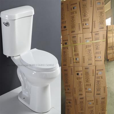 China Hi-Tech Double-flush SR-173AT Muslim Toilet Brand UPC Flush System 008615689156892 for sale