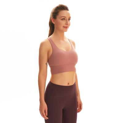 China Factory ACTIVE source strength nylon STRETCH elastic breathable comfortable women high shaping clothes yoga suit practice room for sale