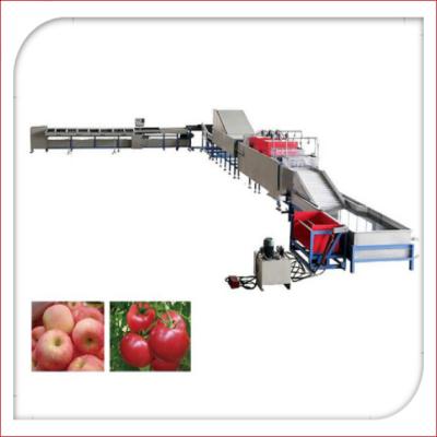 Cina Lavaggio elettronico automatico della frutta e macchina 5MT/H di inceratura in vendita