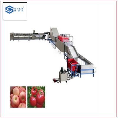 China Tomaat/Avocado/Sinaasappel/Apple-Gewichtssorteermachine en Gewichtsklassemachine Te koop