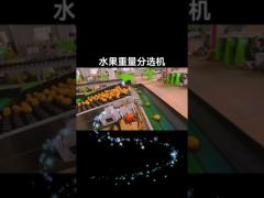 Fruit cleaning and choosing machine