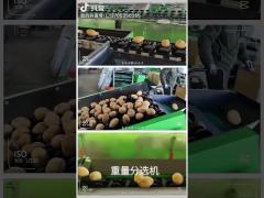 Fruit cleaning and choosing machine