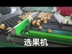 Customize Fruit Vegetable Grader