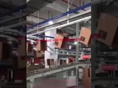 Carton packaging system for packing house