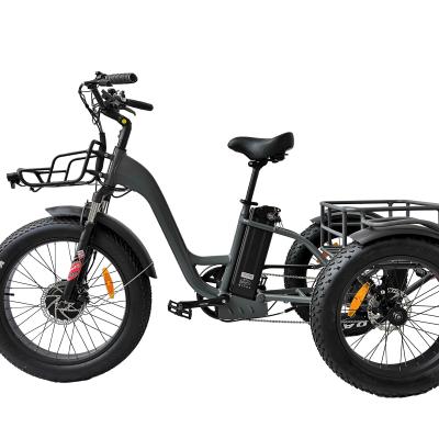 China Passenger QUEENE/24 inch motorized electric tricycle NEW with EN15194 cheap electric trike/3 wheel electric bike/with pedals for sale