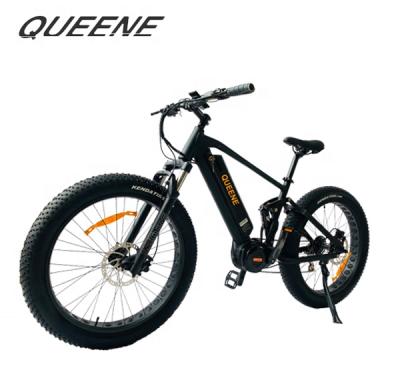 China QUEENE/electric bike standard bicycle for adults 2020 Germany fat tire 500w/750w mountain ebike for sale