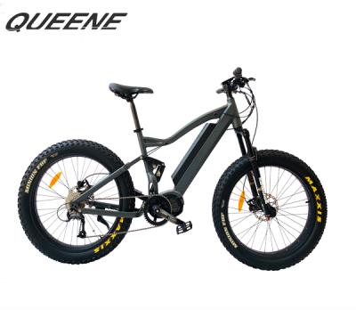 China Aluminum alloy QUEENE/Hot selling mid drive 1000W fat tire e motor electric bike pedelec for sale