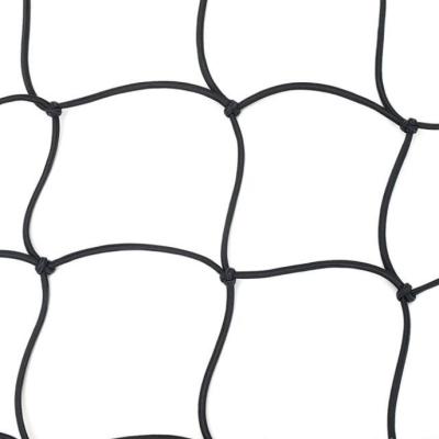 China Supports Tomatoes Grow Flexible Tent Trellis Netting 3 x 4 ft Hole 4