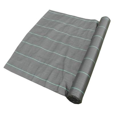 China Eco-friendly PP Ground Cover Fabric for sale