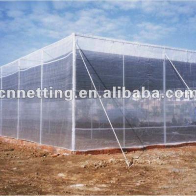 China HDPE +UV Stabilized Full Green Anti-insect Nets for sale