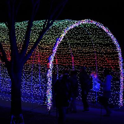 China Large LED Star Arch Pattern Lights 3D Static Or Twinkle Christmas Lights for sale