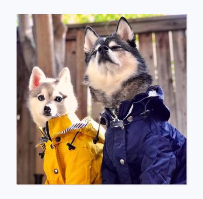 China Viable Designer Trend Fashion British Windproof Good Quality Dog Raincoat Pet Material Waterproof Jacket Large for sale