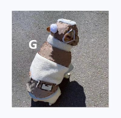 China Brand G Logo Printing Pet Clothes Winter Viable Luxury Classic Dog Thick Coat for sale