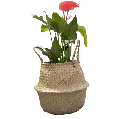 China Wholesale Viable Belly Basket Flower Plant Plankton Plants Handmade Pots Decors Laundry Storage Basket for sale