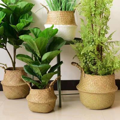 China Bamboo Potted Seaweed Cattail Rattan Storage Basket Woven Flower Viable Basket Flowerpot Straw Storage Plant Basket for sale