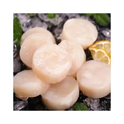 China Promotion Price New Product Seafood Meat Berry Scallop Frozen Meat 10-15pc/lb (20-30pc/kg) for sale