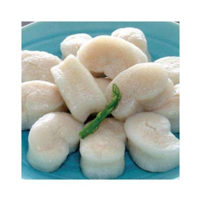 China China Manufacture Quality New Product Frozen Seafood Meat Scallop Fan Shell Meat 5-10PCS/LB for sale