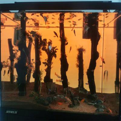 China Wholesale Customized Aquarium LED Decorative Light Panel Customized for sale