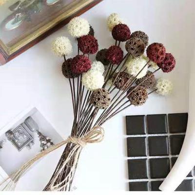 China Delicate& 2021 Hot Selling Stable Fruit Maple Color Dry Dyed Flowers For Home Decoration And Festival Gift for sale