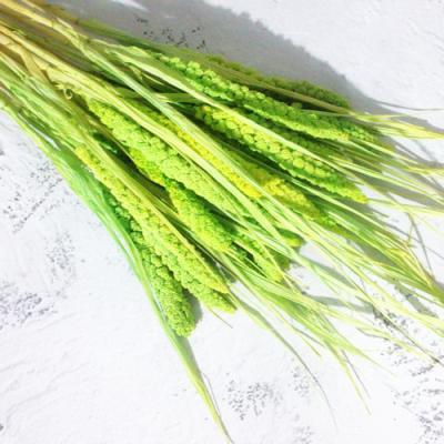 China Delicate& Hot-selling product color stable millet corn grain ears for home decoration and festival decoration for sale