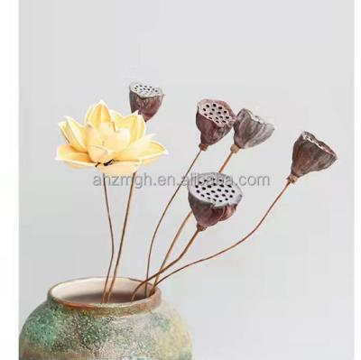 China Delicate& The High Quality Color Stable Shopkeeper's Recommendation Small Lotus Home Plant Decoration For Gift for sale