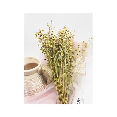 China Delicate& High quality stable color acacia bean decoration flower for home decoration and office decoration for sale