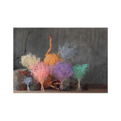 China Delicate& High quality dreamy stable color grass craft decorations for home decoration and office decoration for sale