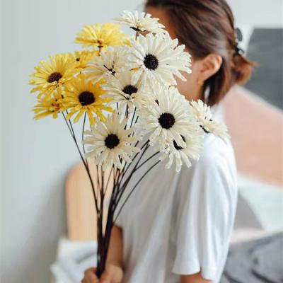 China Handmade sesame daisies of fresh and natural flower daisies with plant materials for home and holiday decorations for sale