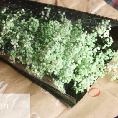 China Delicate& Color stable high quality Gypsophila dried preserved flower for home decoration and office decoration for sale