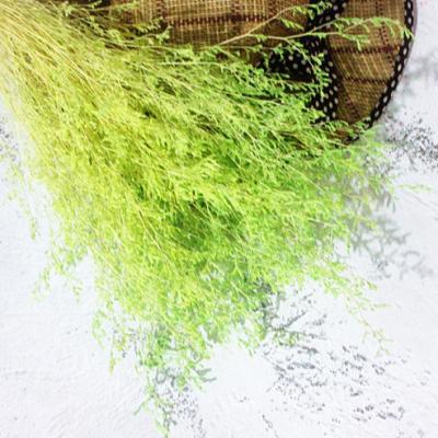 China Delicate& Color Stable Natural Artificial Flower Bouquet Style Hot Selling Lovers' Grass For Home Decor for sale